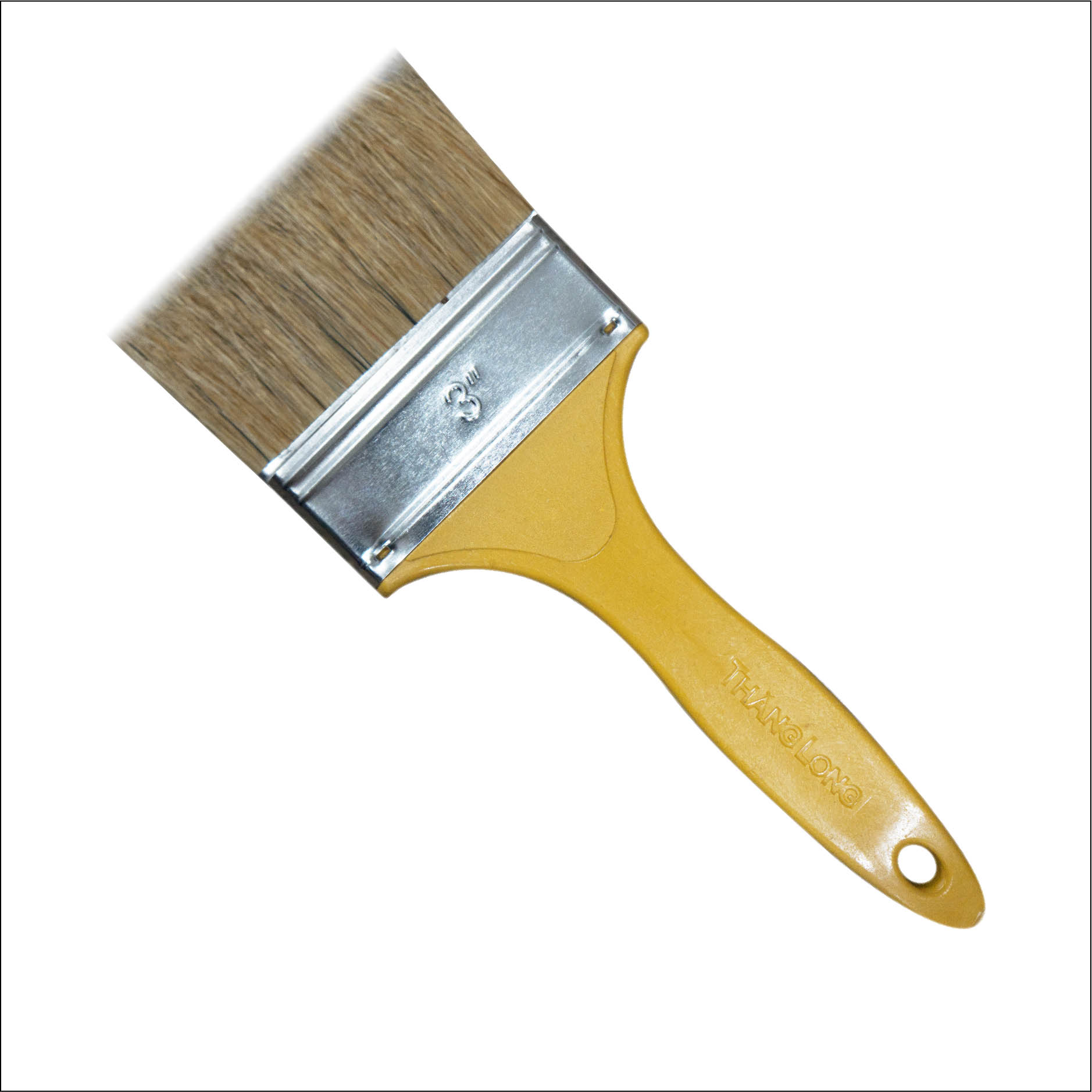 CỌ NHỰA THĂNG LONG VÀNG 3’’