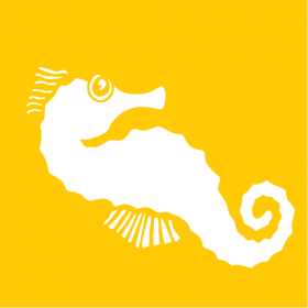 KHUÔN HÌNH TRANG TRÍ