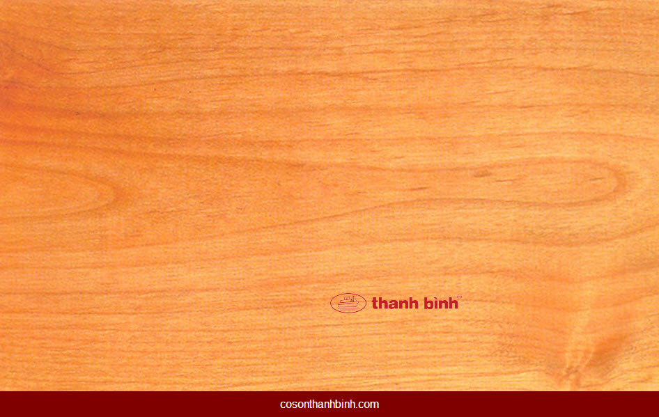 mẫu cọ tạo vân gỗ