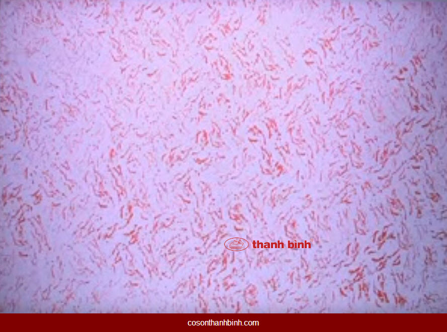 lăn hoa văn đá cẩm thạch